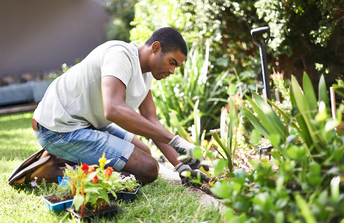 Garden Work